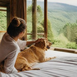 Pousadas pet friendly no Brasil: destinos ideais para viajar com seu animal de estimação