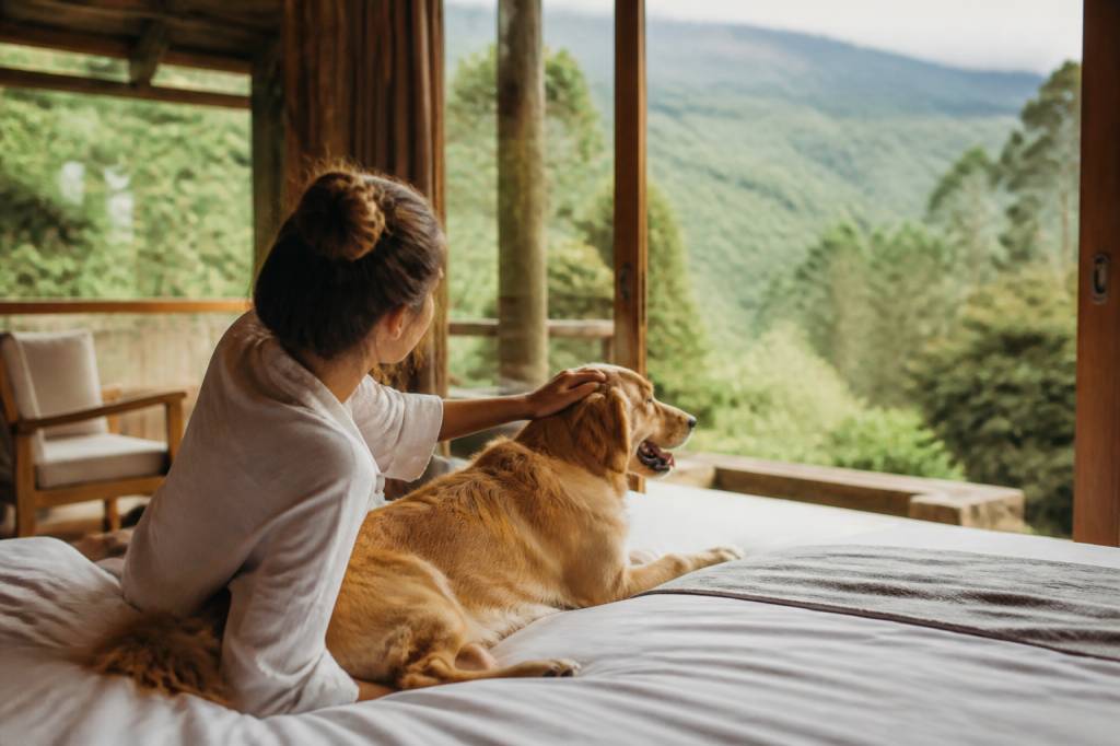 Pousadas pet friendly no Brasil: destinos ideais para viajar com seu animal de estimação